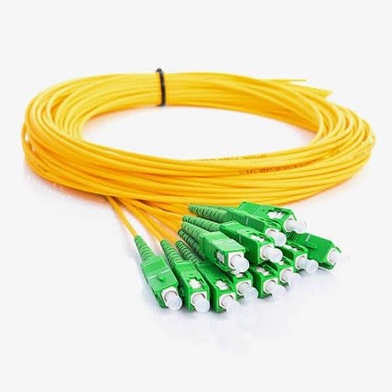 Patch Cord